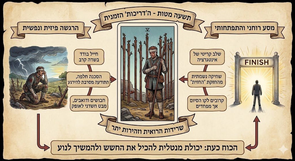 אינפוגרפיקה מאוירת בשפה העברית המסבירה את משמעויות קלף הטארוט "תשעה מטות"