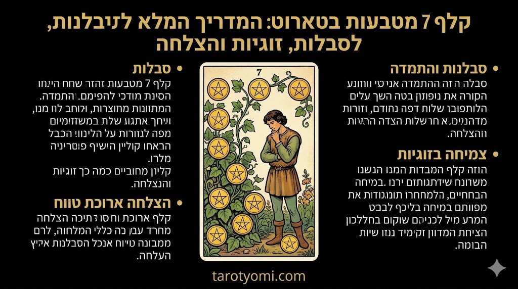 אינפוגרפיקה המסבירה את המשמעויות של קלף 7 מטבעות בטארוט: סבלנות, זוגיות והצלחה ארוכת טווח.