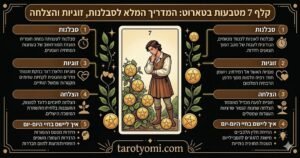 אינפוגרפיקה בעברית על קלף מלכת המטבעות בטארוט המציגה 7 סודות על שפע, נשיות חזקה, חיבור לטבע ויציבות כלכלית על רקע שחור.